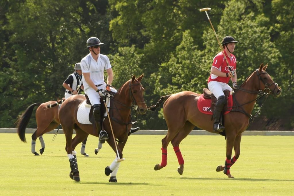 Color photograph of two white men playing polo on a lawn - Metropolis