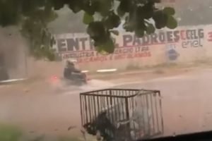 Imagem mostra motociclista lutando contra correnteza até que é arrastado pela enxurrada - Metrópoles