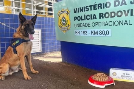 Cão farejador ganha festa de aposentadoria da PRF - Metrópoles