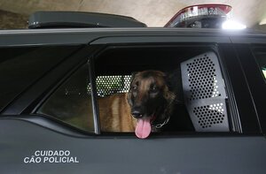 Cão policial Tank na viatura