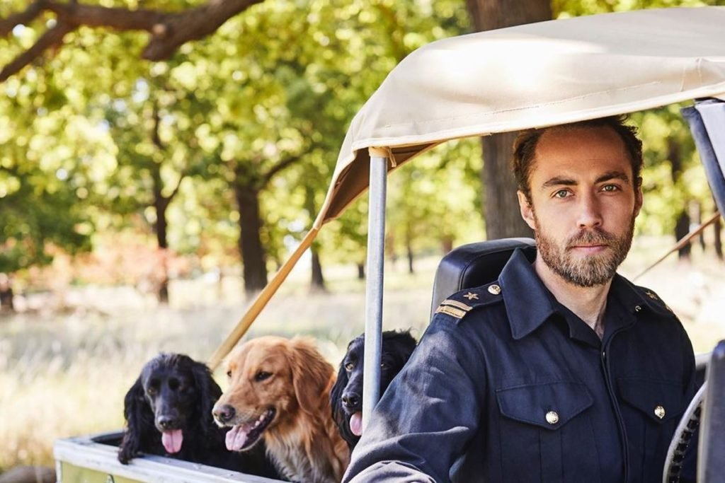 Foto colorida de homem, branco e barbudo, dirigindo carro. Na carroceria do automóvel, há três cães - Metrópoles