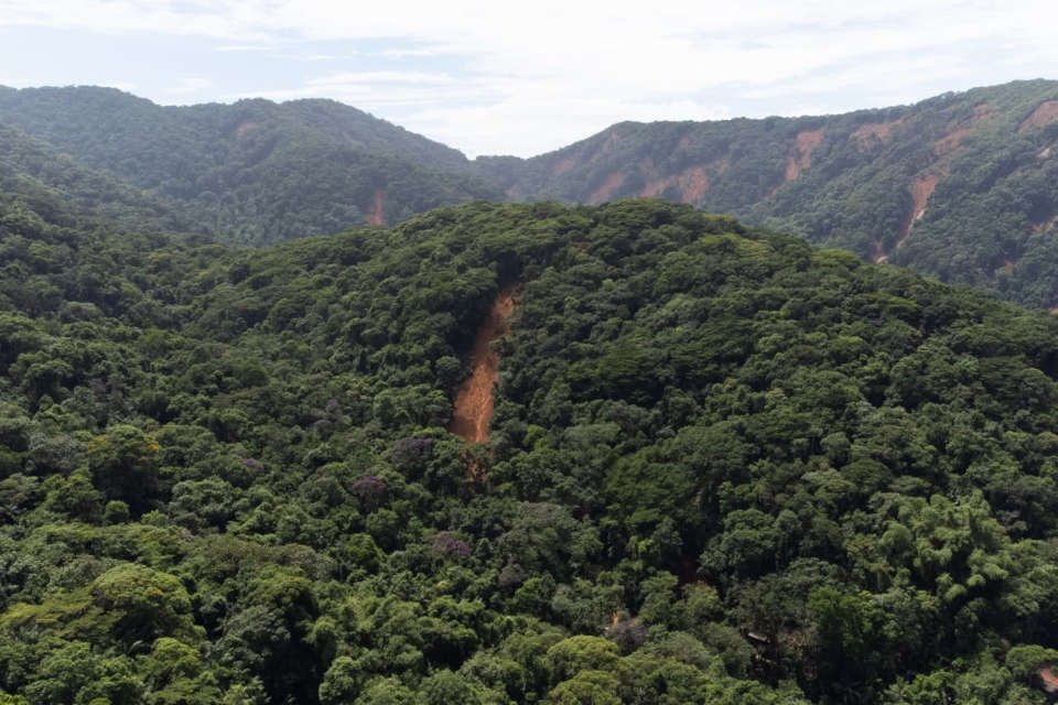 imagem aérea mostra vegetação e zona de deslizamento no fundo