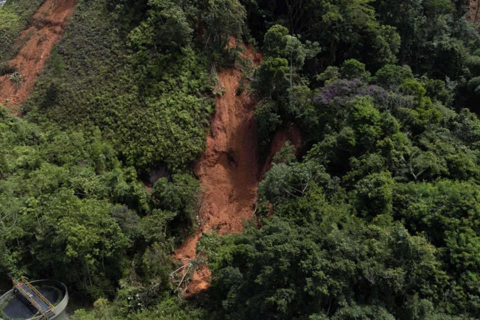 imagem aérea de área verde cortada por linha de terra