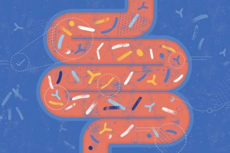 Ilustração colorida de um intestino dando voltas e cheio de bactérias - Metrópoles