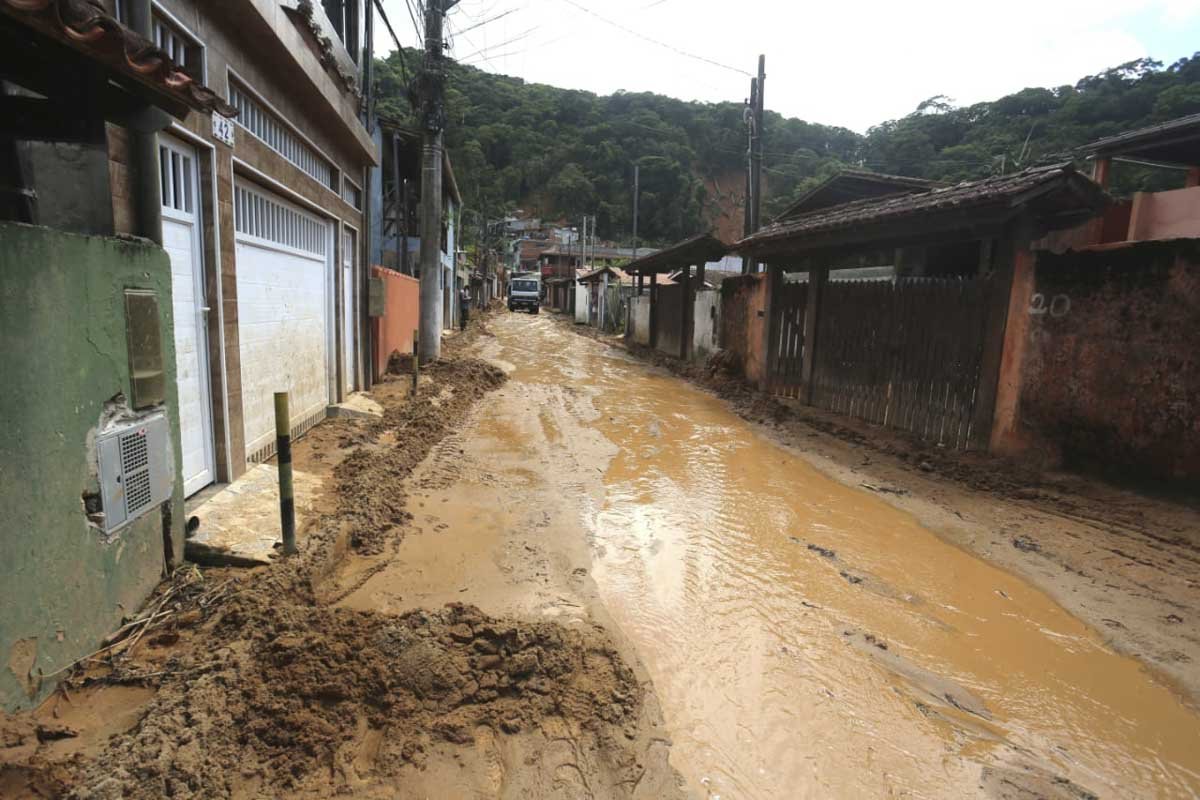 Canhão D'Água Tubarão Ataque - Papelaria Totus Tuus