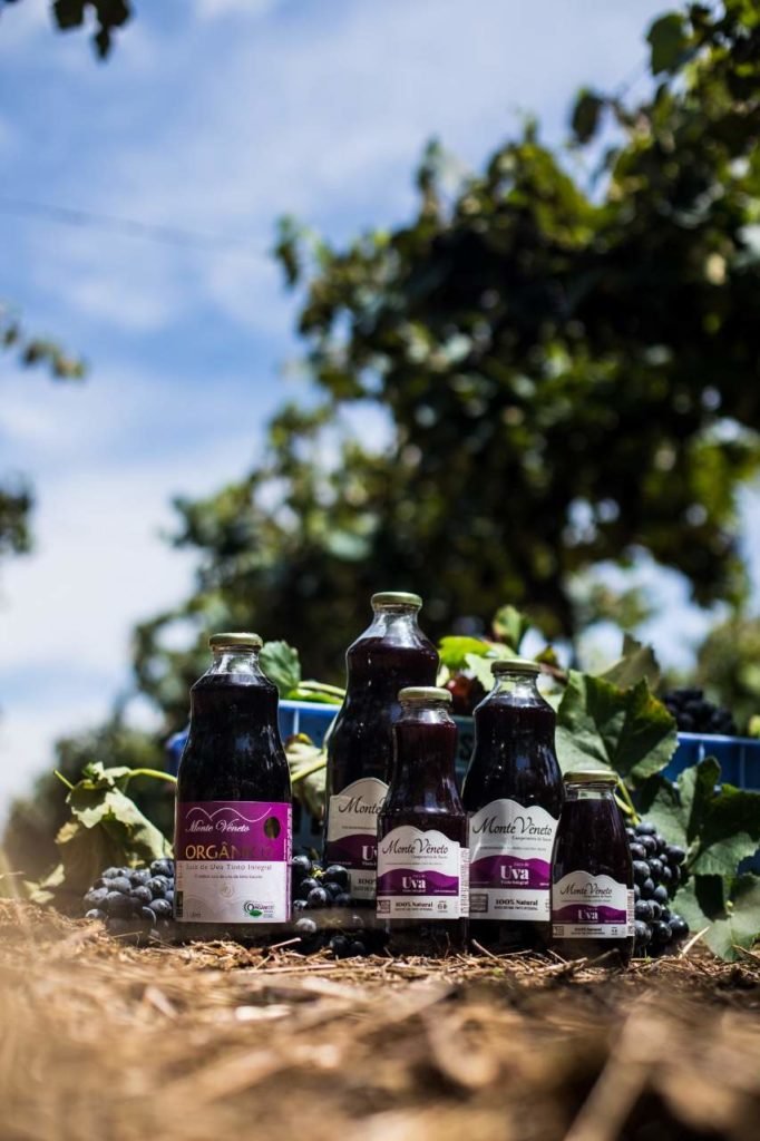 Na foto, o suco de uva integral Monte Vêneto - Metrópoles