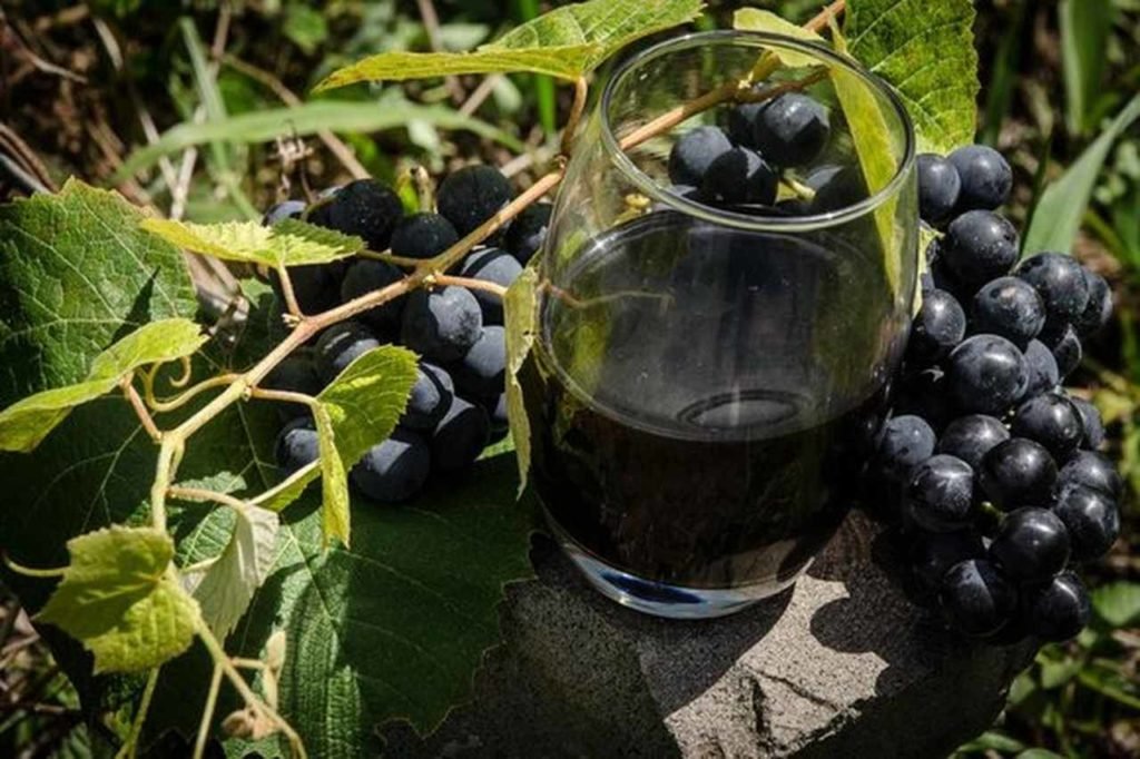 Na foto, o suco de uva integral Monte Vêneto - Metrópoles