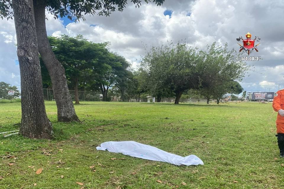 Homem Morre Enquanto Colhia Abacate No Distrito Federal Metrópoles 5940