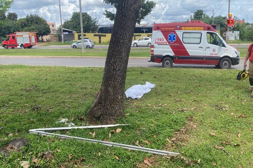 Homem Morre Enquanto Colhia Abacate No Distrito Federal Metrópoles 0670