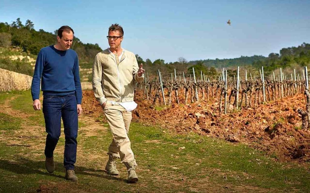 Na foto, dois homens caminham em uma vinícola - Metrópoles