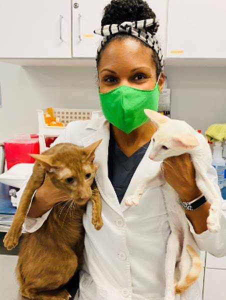 Imagem colorida da série Dra. Joya: Dermatologista Animal - Metrópoles