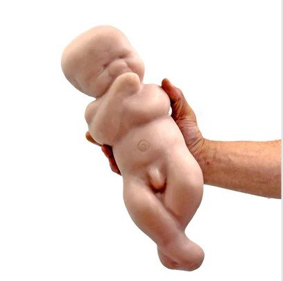 sex toy bebê - Metrópoles