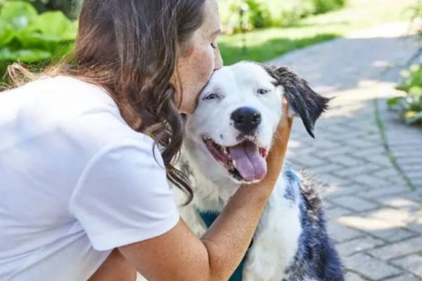 Mulher beijando cachorro com cancer