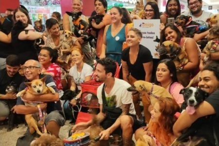 encontro-vira-latas-caramelo-metropoles