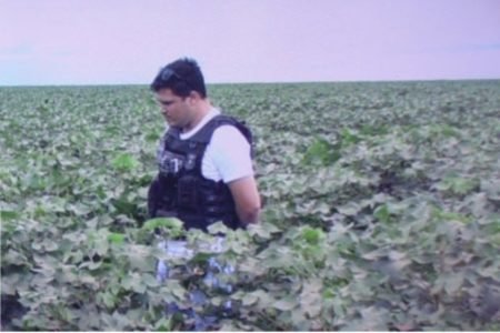 Foto colorida de um policial em uma plantação em Sapezal - Metrópoles