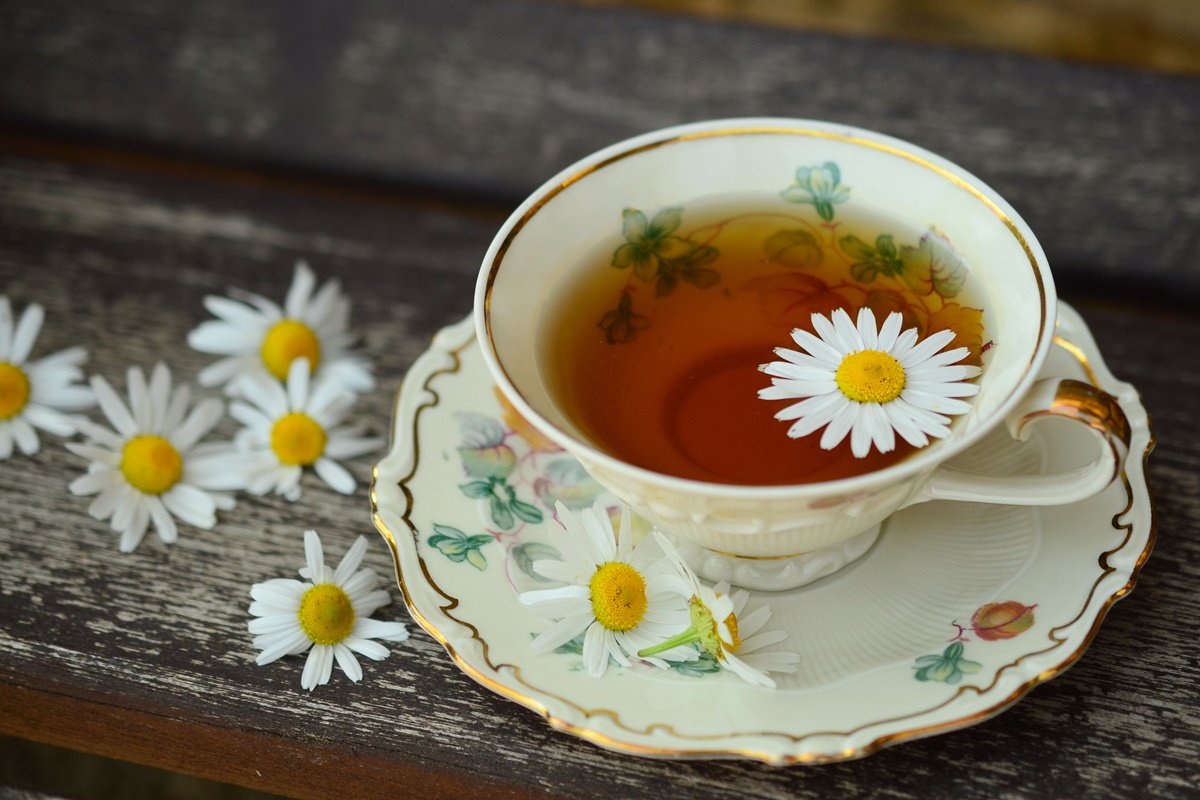 Imagem colorida de xícara de chá com flor dentro - Metrópoles