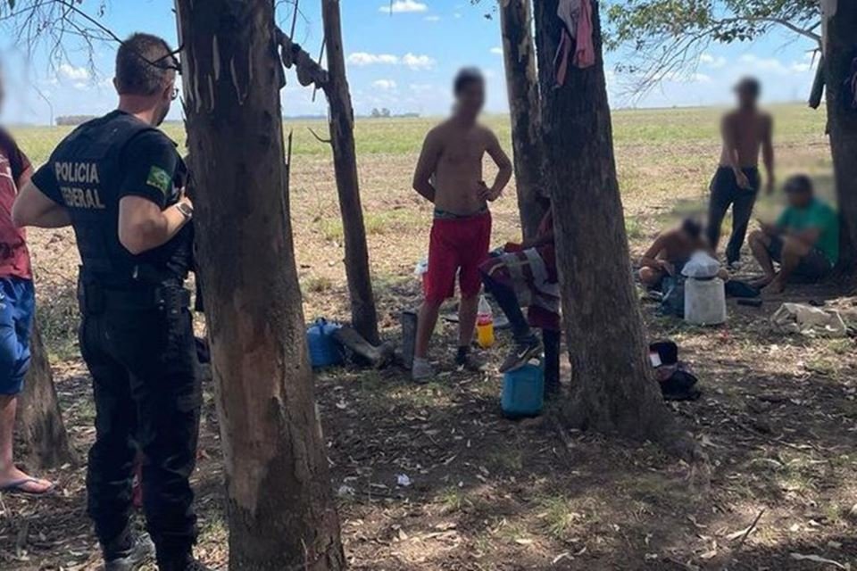 Imagem colorida mostra operação que descobriu pessoas em Condições análogas à escravidão em Uruguaiana - Metrópoles