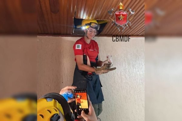 Bombeira segura gato resgatado de teto