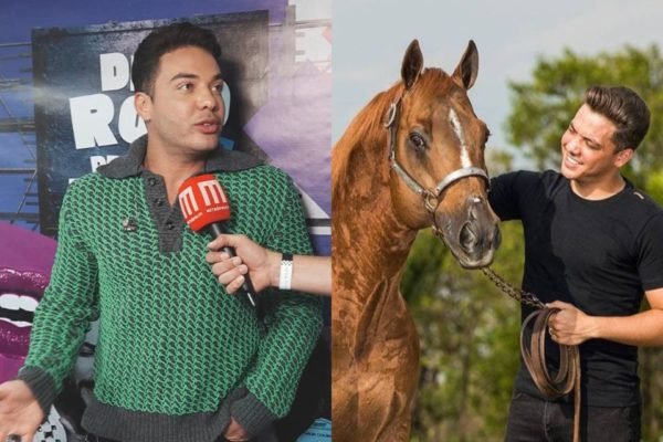 Wesley Safadão fala como cavalos o ajudou a lidar com a pressão da carreira
