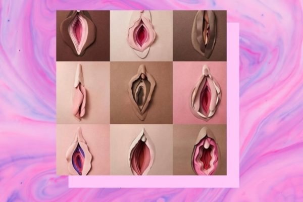 Várias vulvas de tamanhos e cores diferentes em fundo rosa - Metrópoles