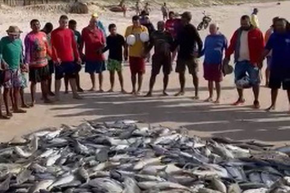 Pescador que viralizou ao resgatar garça no MS conta detalhes por