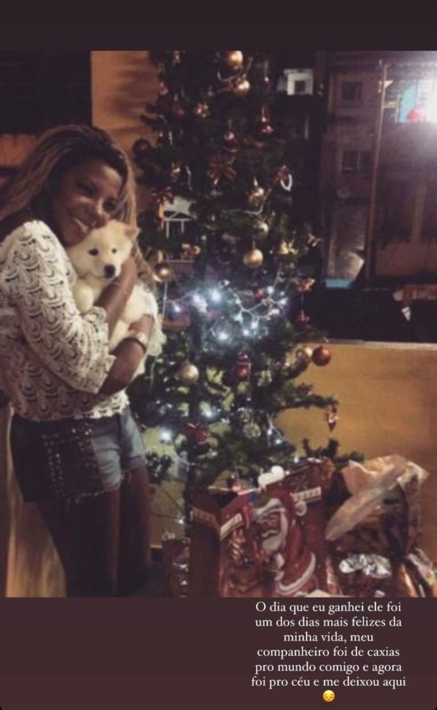 Cachorro da cantora Ludmilla morreu - Metrópoles