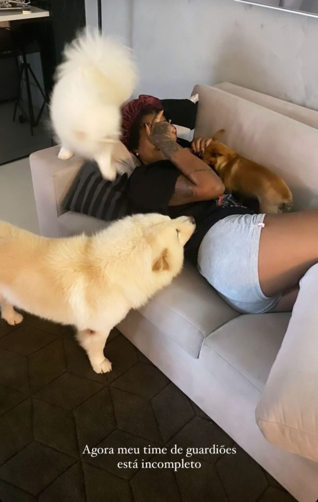 Cachorro da cantora Ludmilla morreu - Metrópoles