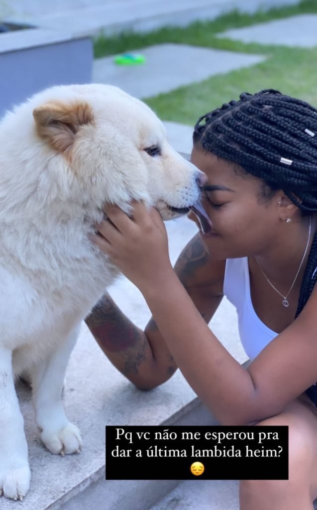 Cachorro da cantora Ludmilla morreu - Metrópoles