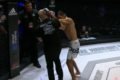 Juiz de MMA sendo atacado
