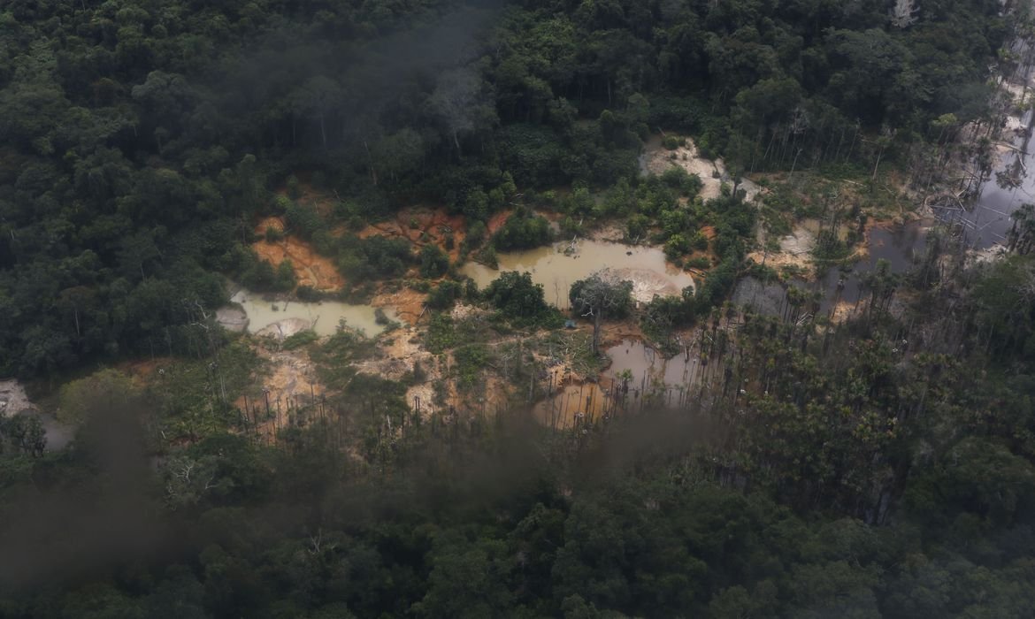 Garimpo ilegal na Amazônia / Metrópoles