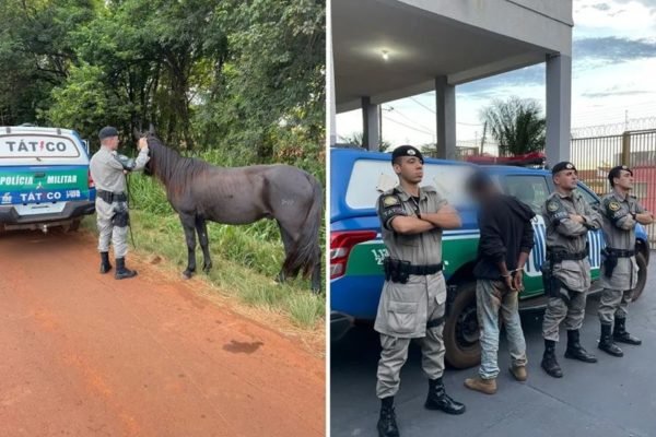 Dois homens são presos suspeitos de matar cavalos para vender a