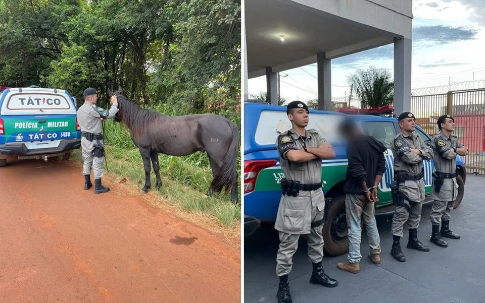 Homem é preso suspeito de furtar cavalo e tentar vendê-lo por R