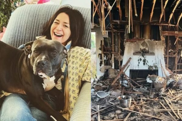 Estrela de Grey’s Anatomy perde quatro pets em incêndio domiciliar
