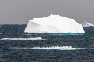 antartica