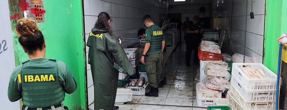 Agentes do Ibama apreendem 5 toneladas de pescado no RS - Metrópoles