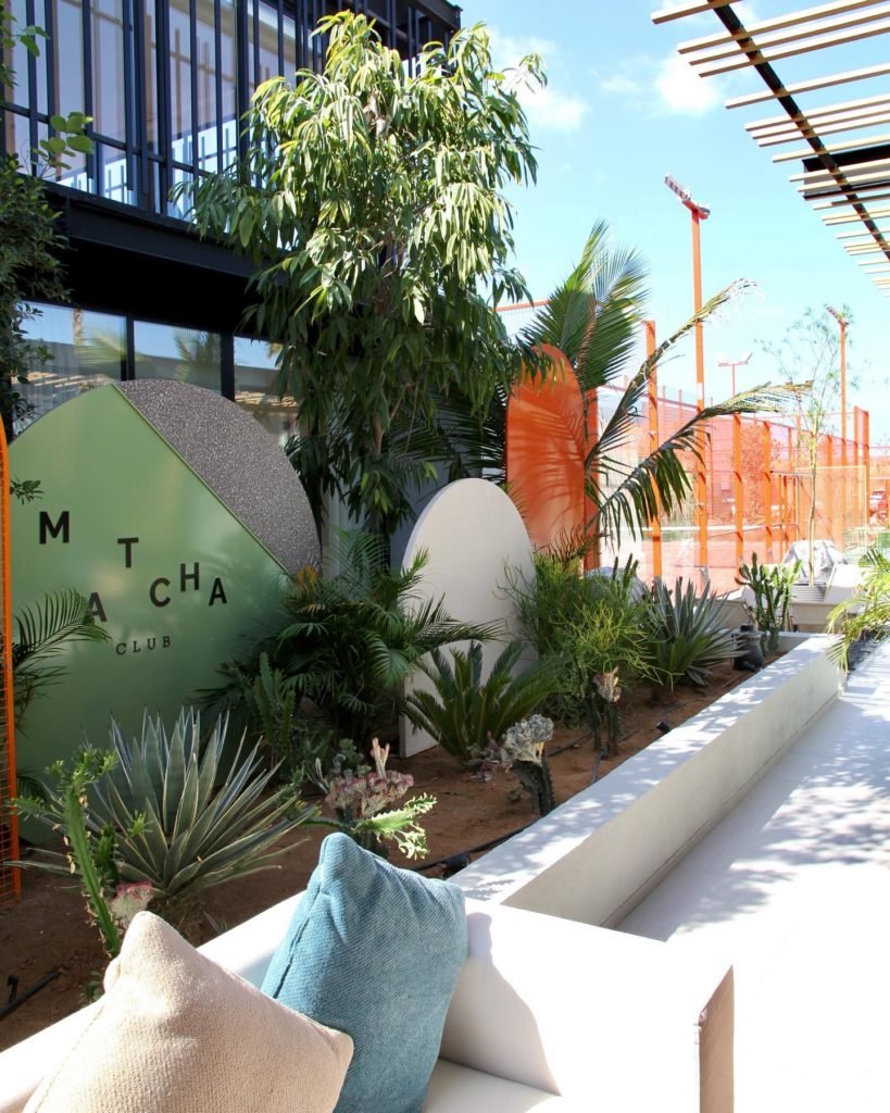The Matcha Club