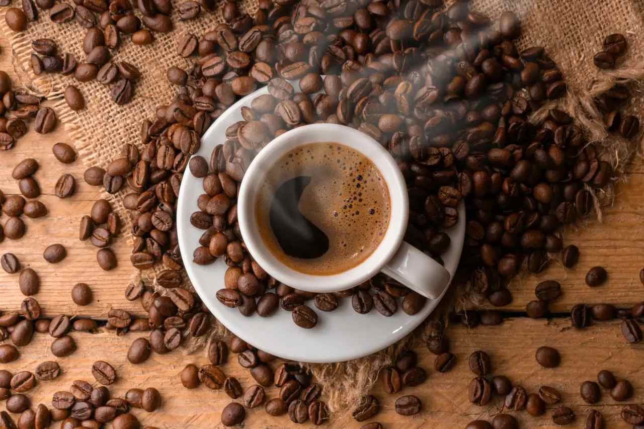 Café Robusta x Café Arábica: Entenda aqui a diferença!