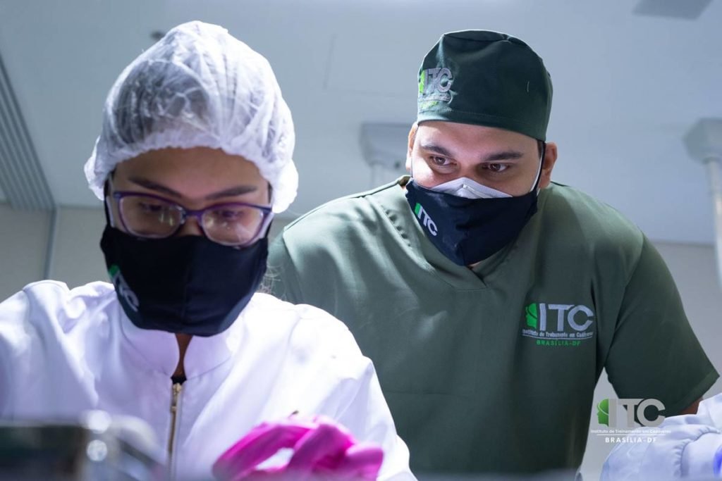 Study on fresh and frozen cadavers produced by the ITC of Brasília - Metrópoles