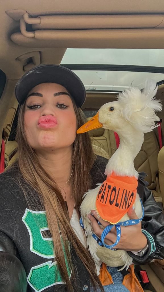 Patolino, o marreco de pompom, da influenciadora Julia Olympio desapareceu de sua mansão em Mogi das Cruzes, na grande São Paulo