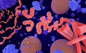 Ilustração feita pelos pesquisadores da Universidade de Londres mostra a proteína tau, causadora do Alzheimer - Metrópoles