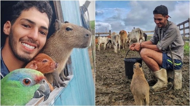 Dono da capivara 'Filó' não é 'ribeirinho' e explorou animal silvestre