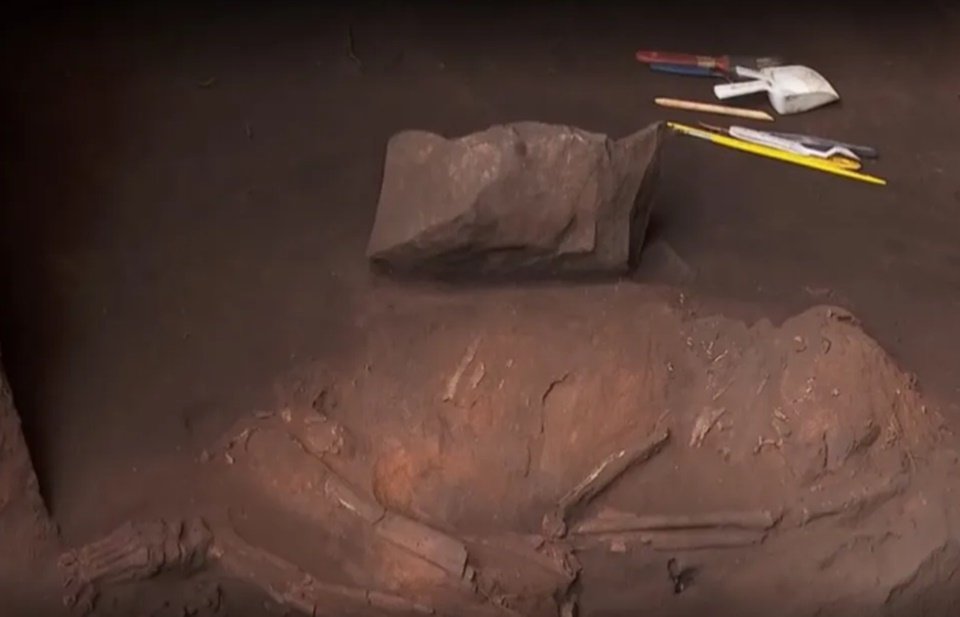 Fossil de 12 mil anos em Goiás