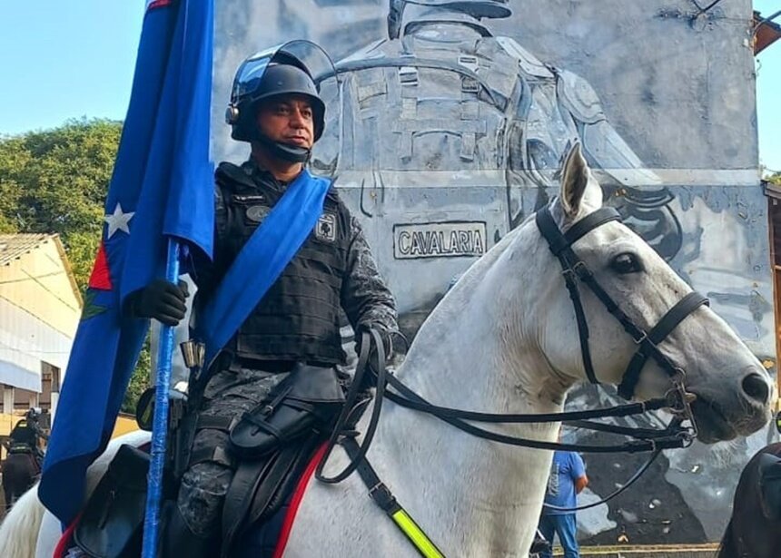 Conheça um pouco mais sobre a Cavalaria da Polícia Militar - SSP