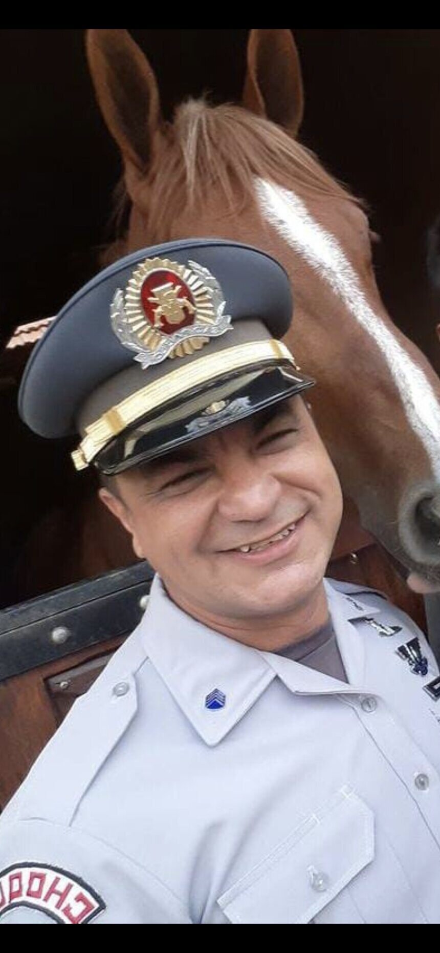 Morte de 3 cavalos causa briga de dono com polícia de SP - 24/10