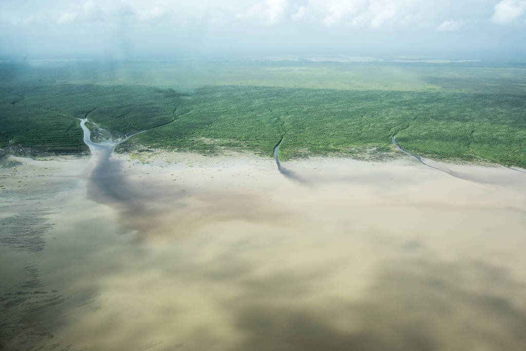 imagem colorida do Foz do Rio Amazonas