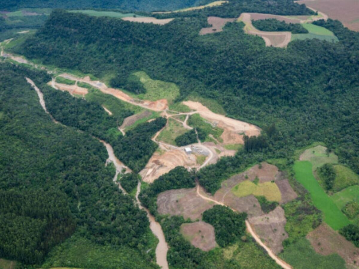 VIVA A MATA, promovido pela SOS Mata Atlântica, Parque do Ibirapuera, São  Paulo, 20-22 maio