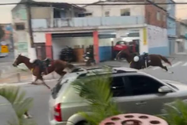 Conduta de policiais que atiraram em cavalos será apurada