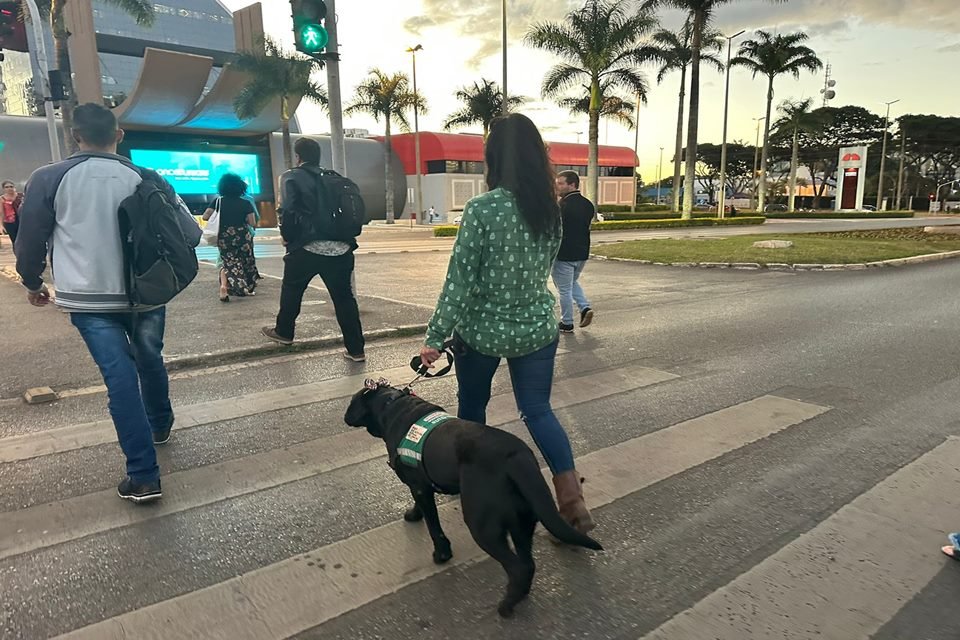 Priscila Debatista atravessando a rua com Filó