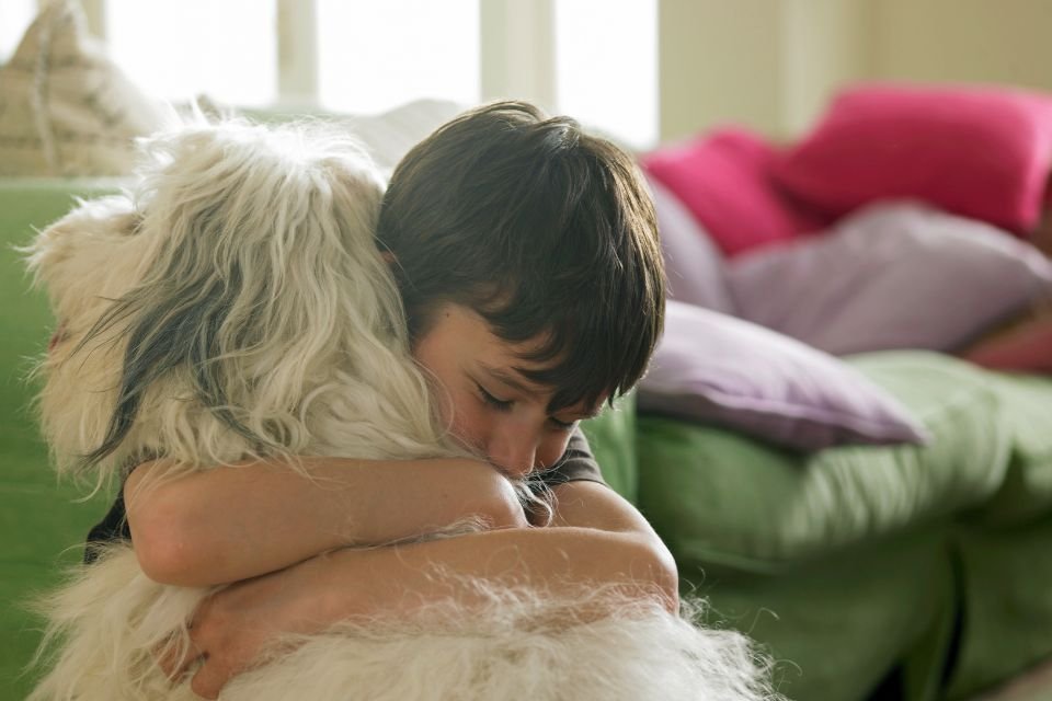 Abraçar cães