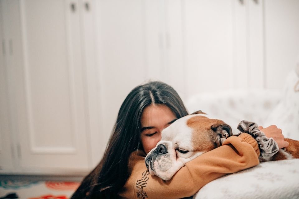 Abraçar cães